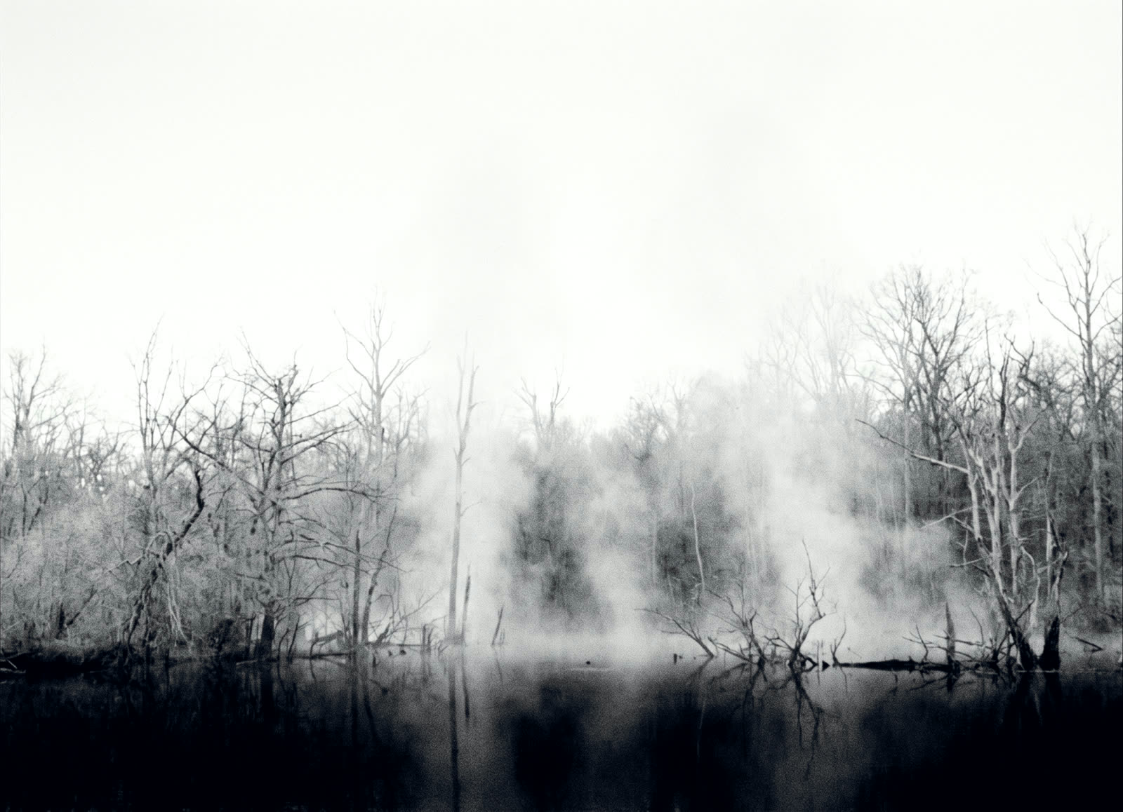 First light over still swamp water. Steam lifting off the surface.