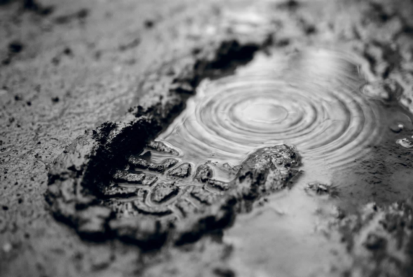 A single deep boot print in red clay, filling with rain.